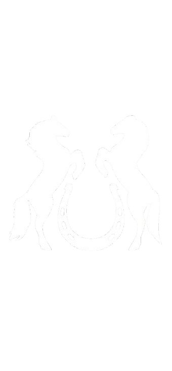 MAGLIETTA "Forza Equina"